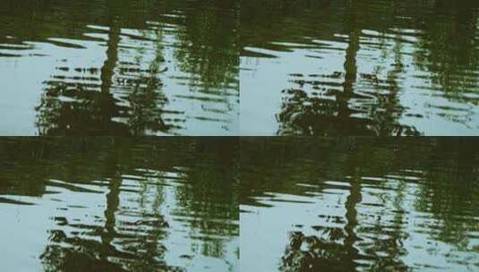 池塘水面波纹高清在线视频素材下载