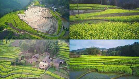 梯田油菜花山区村落航拍高清在线视频素材下载