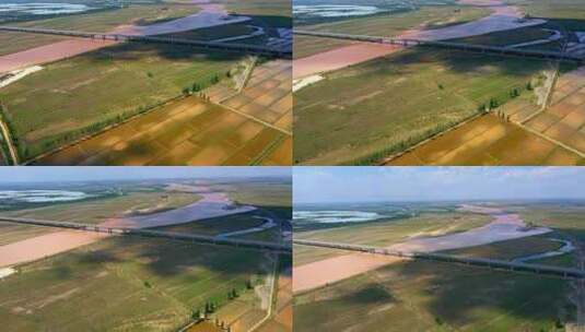 黄河灌溉稻田-水稻农田大景航拍高清在线视频素材下载