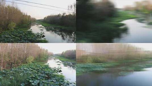 秋季的河流高清在线视频素材下载