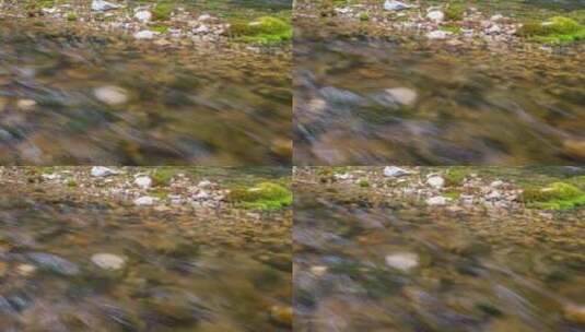 夏天绿色清澈小溪流水延时高清在线视频素材下载