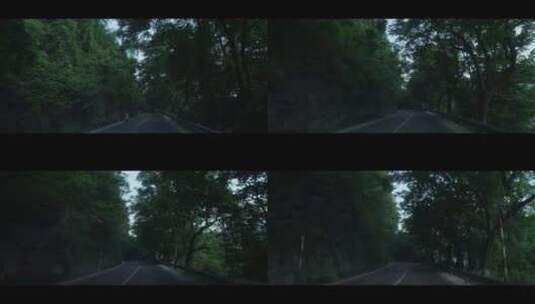 车窗外倒退的树影高清在线视频素材下载