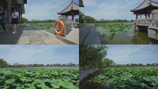 济南大明湖风景名胜区夏季风光高清在线视频素材下载