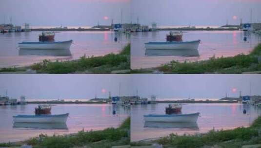 宁静海港的海上夜景，绑着船和海鸥高清在线视频素材下载