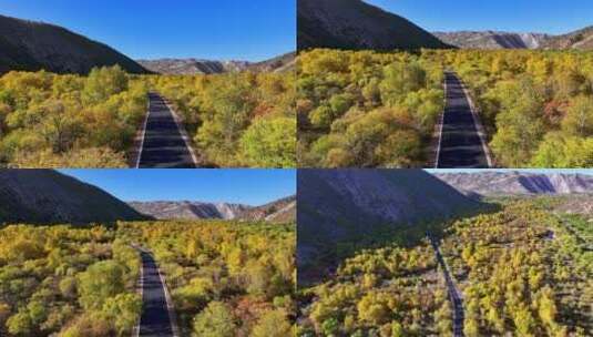 秋天的公路高清在线视频素材下载