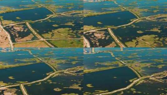 新疆艾比湖湿地高清在线视频素材下载