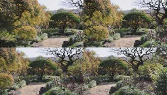 精致的江南园林 园艺设计 曲径通幽高清在线视频素材下载