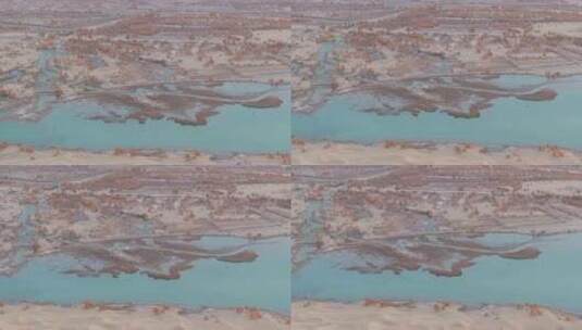 航拍秋天新疆罗布湖畔的胡杨林高清在线视频素材下载