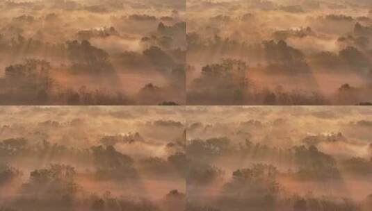 中国杭州西溪湿地云雾缭绕耶稣光倾洒而下高清在线视频素材下载