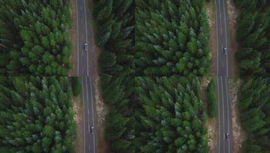 航拍绿色森林公路大自然风景高清在线视频素材下载