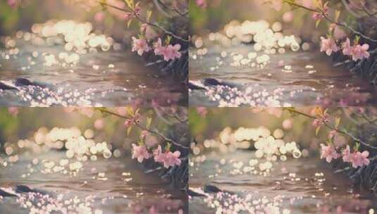 溪水桃花，唯美春天景色高清在线视频素材下载