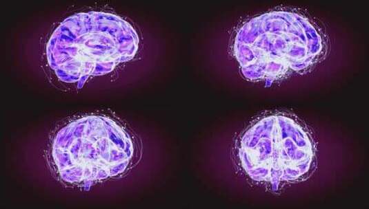 神经元动画。神经细胞在大脑中的活动高清在线视频素材下载