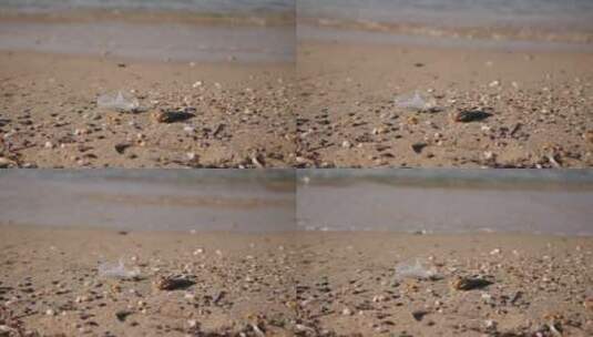 背景特写镜头中海滩沙滩上的塑料垃圾高清在线视频素材下载