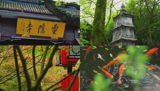 杭州飞来峰灵隐寺高清在线视频素材下载