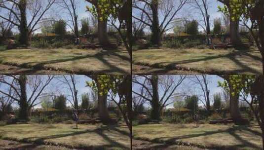 男孩在花园里荡着秋千大树高清在线视频素材下载