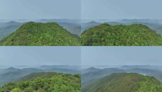山峰森林航拍山顶树林山脉自然风光福建山川高清在线视频素材下载