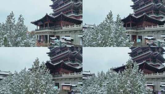 济南大明湖公园雪景航拍        荐高清在线视频素材下载