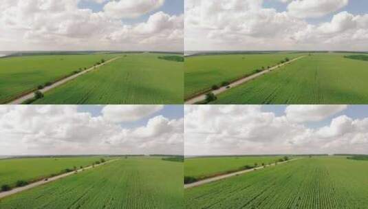 4k航拍夏天绿色的农田与公路宫崎骏画面高清在线视频素材下载