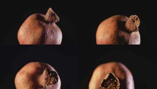 干石榴小石榴脱水石榴装饰种子植物标本高清在线视频素材下载