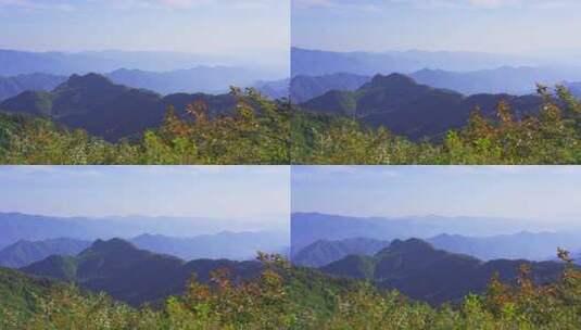 杭州临安大明山牵牛岗群山风景高清在线视频素材下载