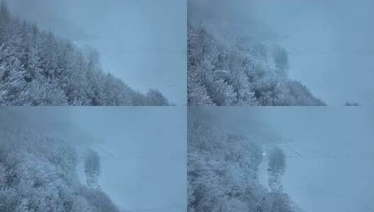 东北冬天暴雪大雪中的林海雪原高清在线视频素材下载