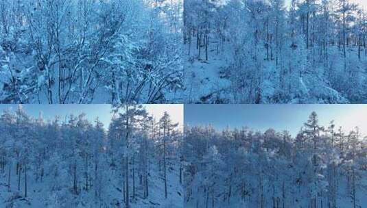 大兴安岭航拍林海雪原银装素裹高清在线视频素材下载