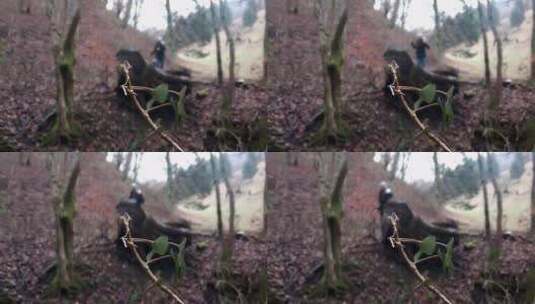女人带着她的狗从森林跑下山高清在线视频素材下载
