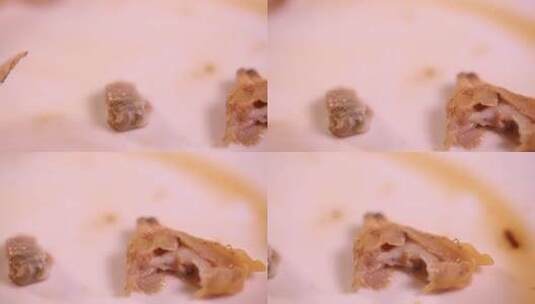 小海鲜花蛤蛏子肉 (2)高清在线视频素材下载