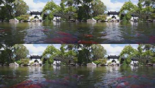 苏式古典园林 池塘里面有金鱼嬉戏高清在线视频素材下载