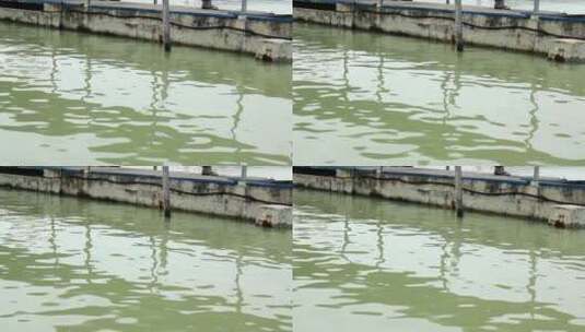 渔港的绿色水域高清在线视频素材下载