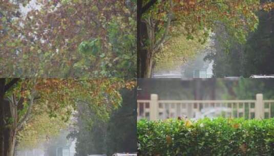秋雨空镜升格高清在线视频素材下载