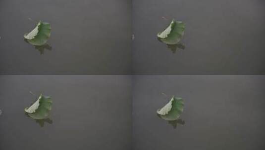杭州西湖风景区西泠桥风景高清在线视频素材下载