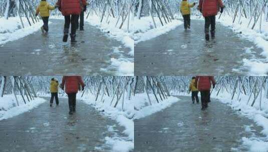 雪景步道高清在线视频素材下载