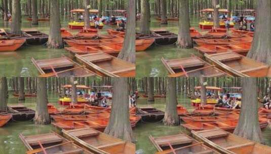 湖面上拥挤的小舟《水上森林》高清在线视频素材下载