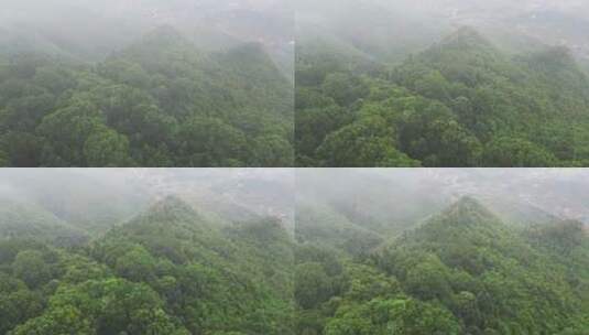 重庆山火后，北碚缙云山迎来降雨，云雾缭绕高清在线视频素材下载