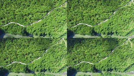 俯瞰绿色森林 公路 江河峡谷高清在线视频素材下载