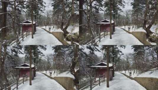 航拍佛教名山四川峨眉山，云海缭绕树林白雪高清在线视频素材下载