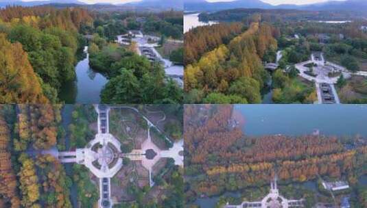 杭州西湖湖畔杭州花圃4K航拍视频高清在线视频素材下载