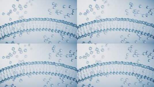 细胞膜与吸收的分子3D渲染高清在线视频素材下载