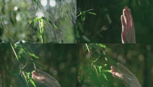 女孩伸手感受雨滴，抚摸竹叶感受大自然视频高清在线视频素材下载