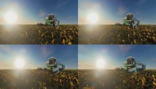 夕阳下的现代化农场机械化收割作业全景高清在线视频素材下载
