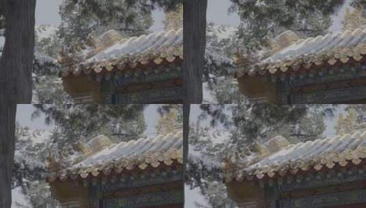 古建筑雪景高清在线视频素材下载