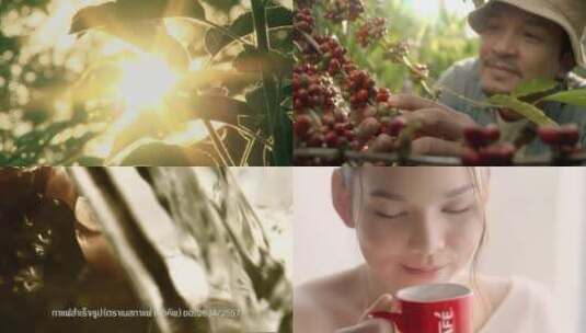 雀巢咖啡NESCAFÉ泰国版高清在线视频素材下载