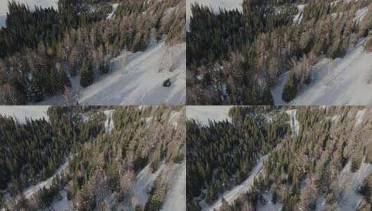 雪山树林间的坦克300车跑高清在线视频素材下载