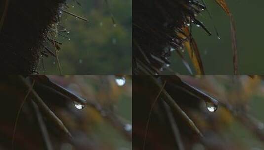 雨天茅草屋上滴下的雨滴高清在线视频素材下载