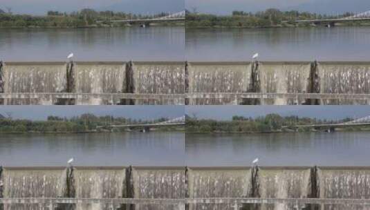 陕西汉中天汉湿地公园高清在线视频素材下载
