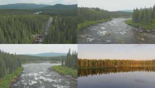 森林山川河流湖泊自然风光风景航拍中国地理高清在线视频素材下载