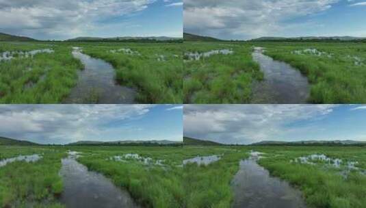 森林公园湿地夏日风景高清在线视频素材下载