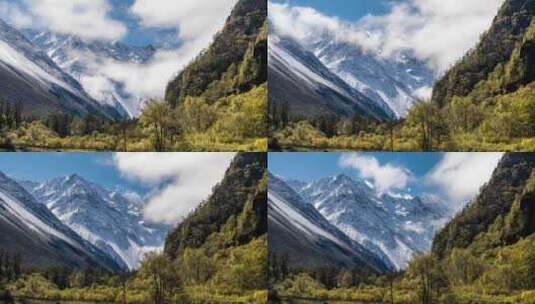 川西高原秋景黄色秋天景观高清在线视频素材下载