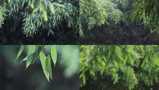 雨水雨滴落在竹叶上合集高清在线视频素材下载